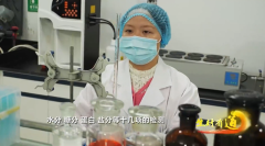 央视！紫燕食物以